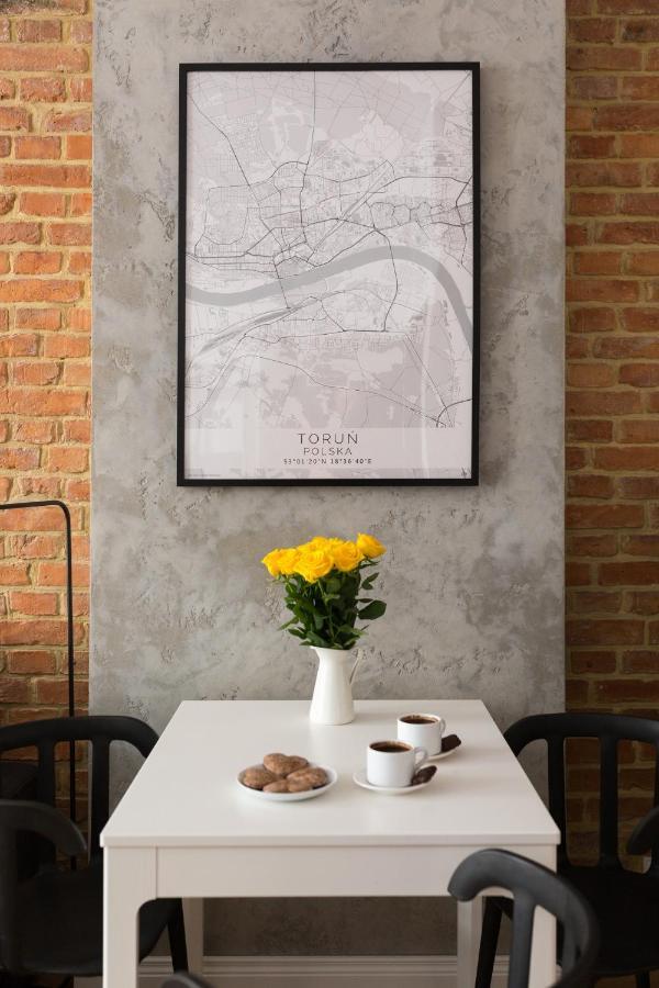 Soft Loft Apartment Torun