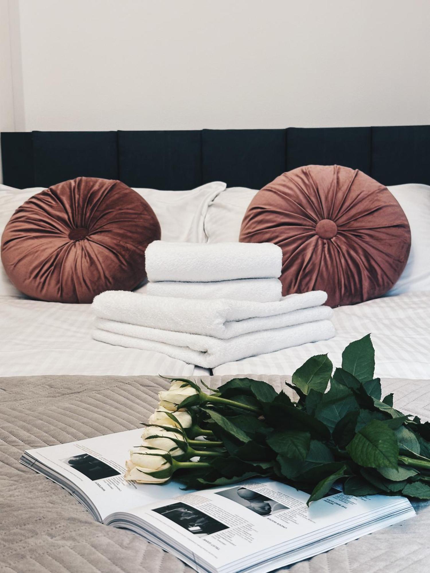 Apartment Soft Loft